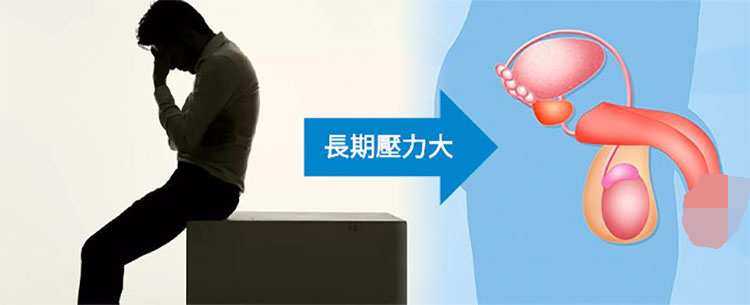 🧠 壓力大＝腦袋忙，身體卻「下線」