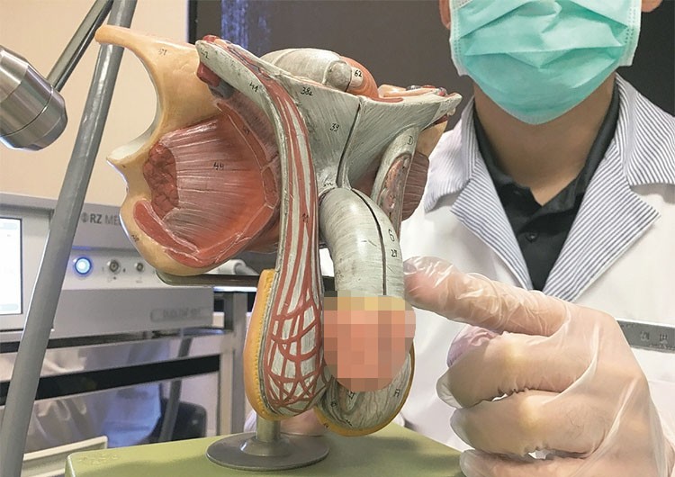 陰莖血管健康出現問題 🩸 陰莖血管健康出現問題 🩸